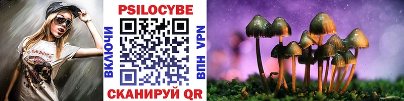 Псилоцибиновые грибы прущие грибы  Тимашёвск 